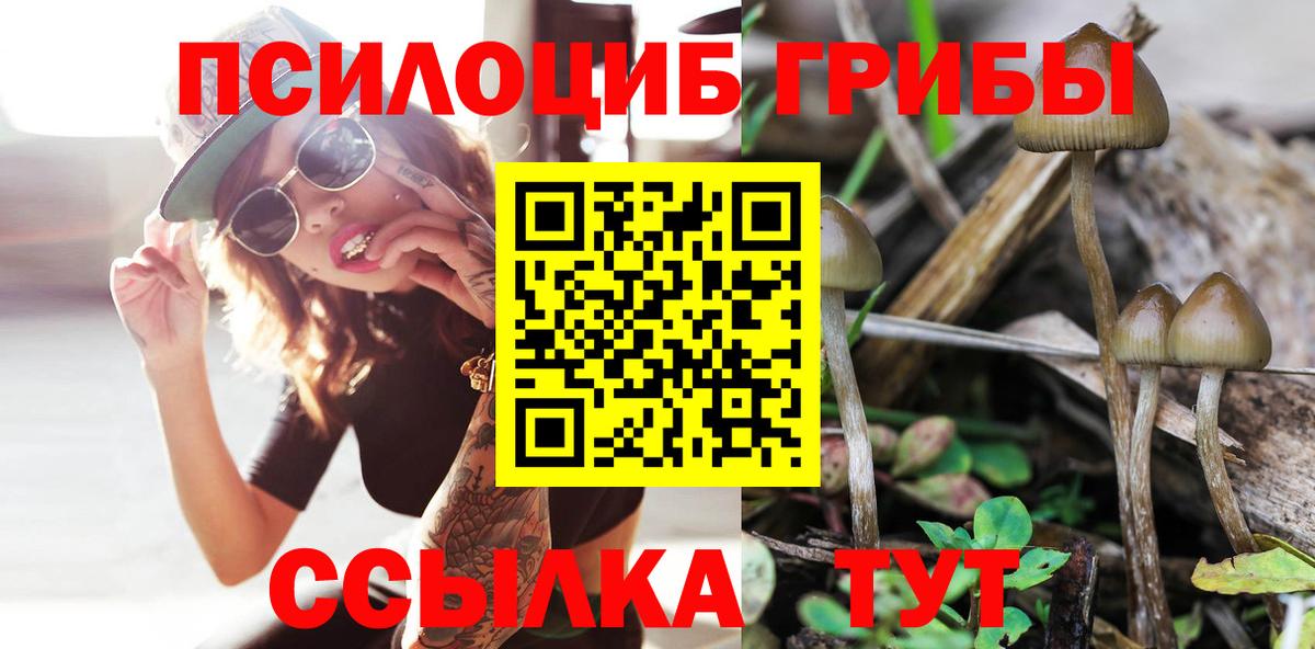 Галлюциногенные грибы ЛСД Баксан