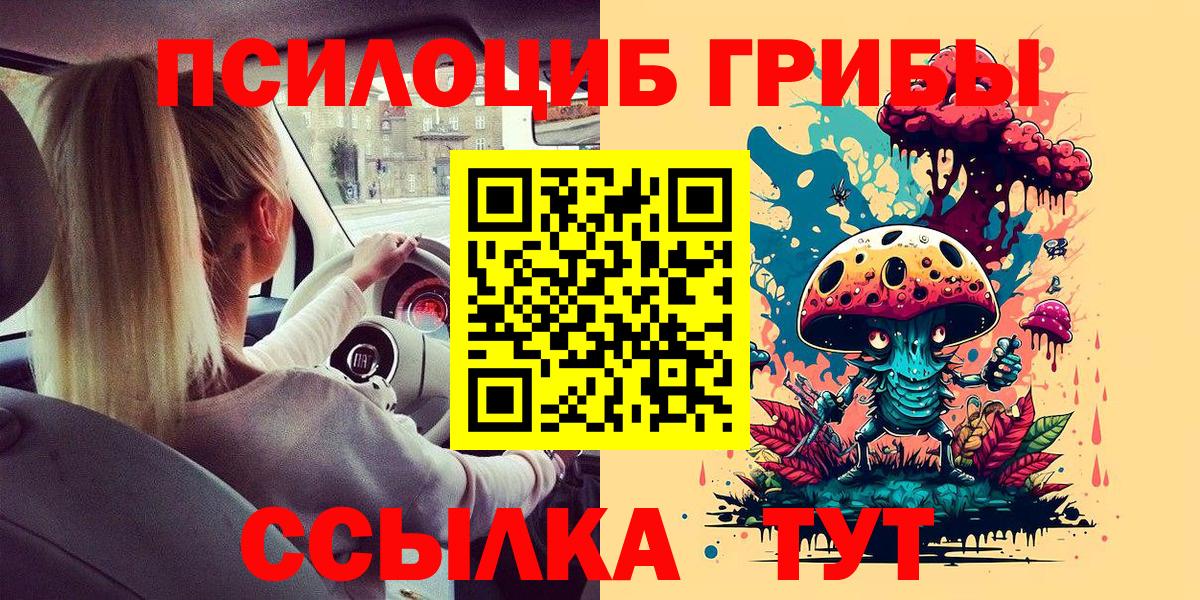Галлюциногенные грибы Psilocybine cubensis  Вход с VPN  Баксан 
